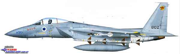 F-15C隼802“黑豹”