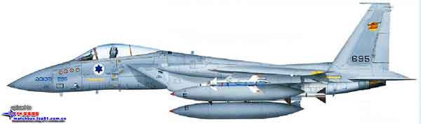 F-15A隼695“星”