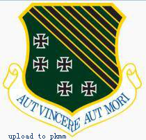 第1战术战斗机联队队徽