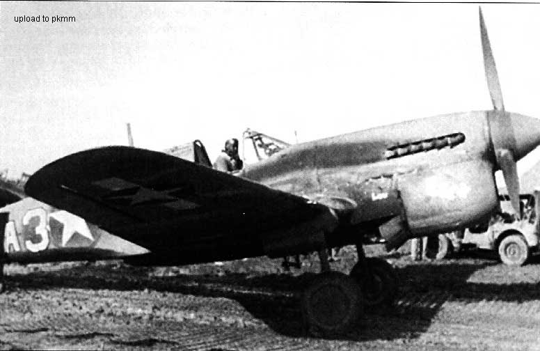 ‘Jim’金顿坐在他的P-40L EEL II里