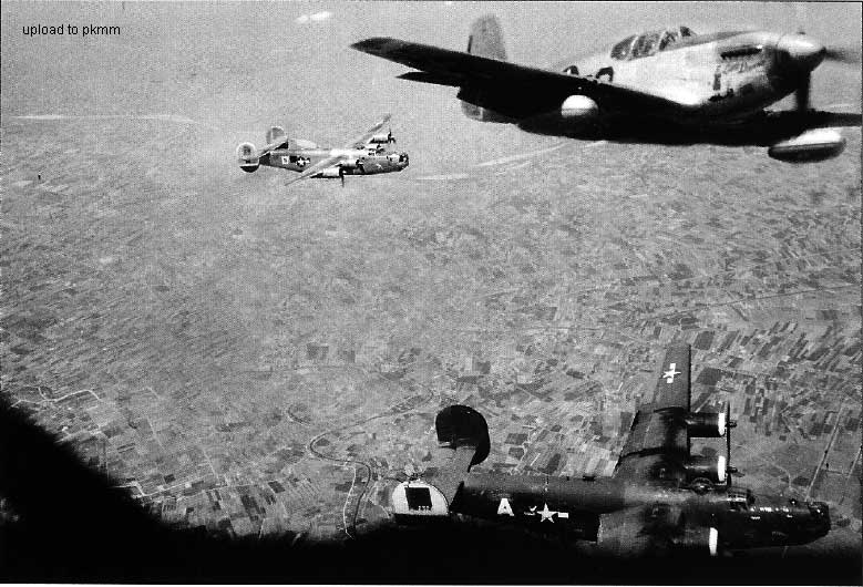 B-24和100FS中队的野马