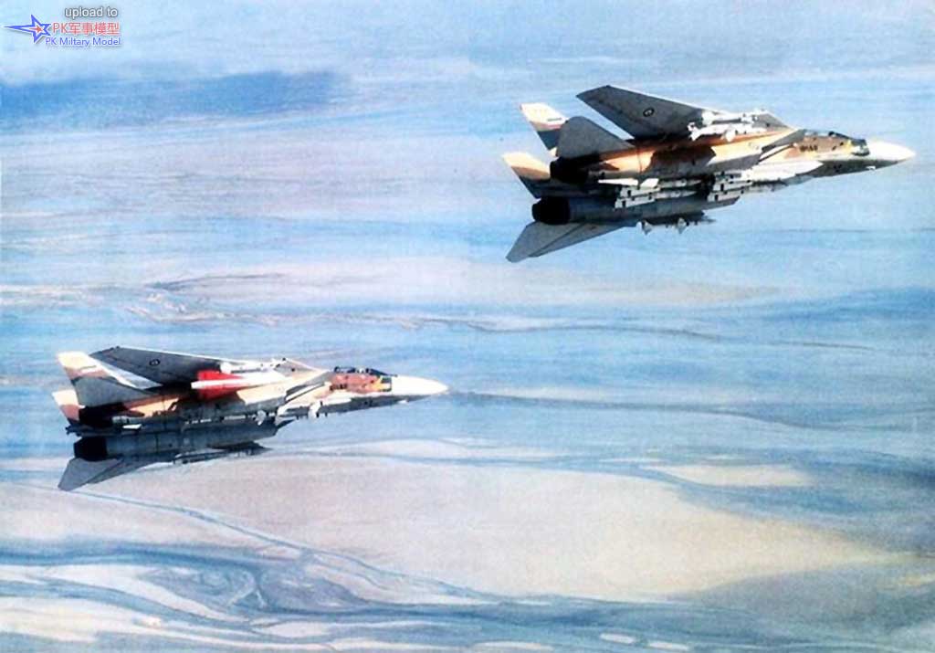 F-14挂载霍克导弹