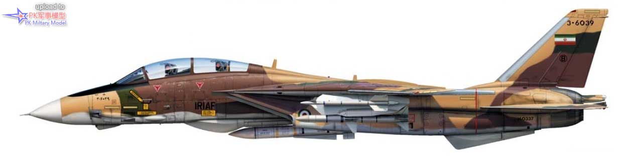 F-14A 3-6039