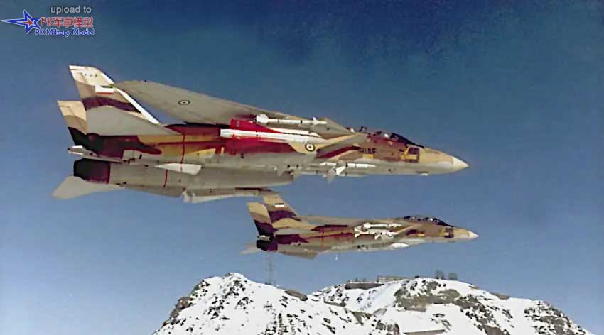 F-14A 3-6079 & 3-6060