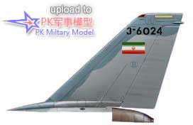 F-14A 3-6024左垂尾外侧