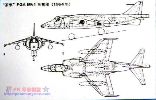 茶隼三视图